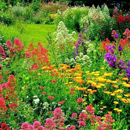 Appartamento Maria Città di Skiathos